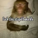 Monkey baka life
