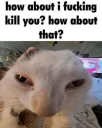 How About I Fucking Kill You