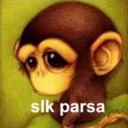 slk passa 