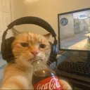 coca-cola cat
