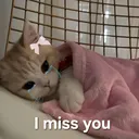 i miss you 