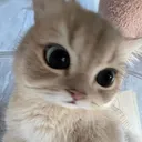 cute 