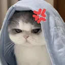 upset 