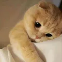 thinking 