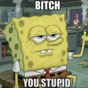 You dumb spongebob