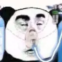 sick panda
