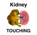 Kidney touching