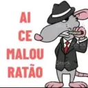 ratones