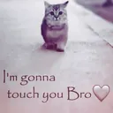 Getting touched