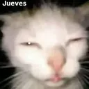 gg/luar
