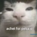 gg/luar