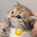 Déjame pensarlo bro 