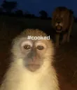 Cooked!