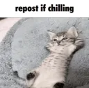 RepostIfChilling