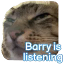 barry is listening