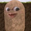 Potato 