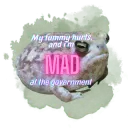MadAtTheGovernment