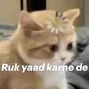 Yaad krrah | gg/alonehometown