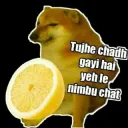 Nasha | gg/alonehometown