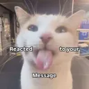 Blahh | gg/alonehometown