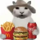 Cat McDonald's 