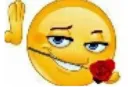 www