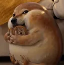 Fat dog