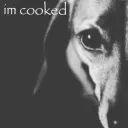 im cooked