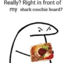 shark coochie