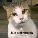 ex___last_warning_
