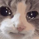cry