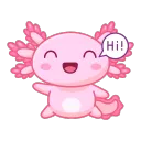 Axolotl_Hi