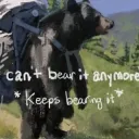 Can't bear it