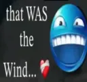 ts was the wind