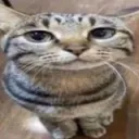 bruh