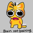 Brain Not Braining 
