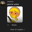 You're voice...