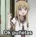 Ok puñetas