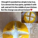 Lemon truth