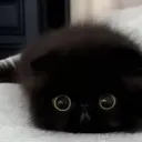 I see you
