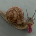 fancy snail