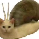 meow snail
