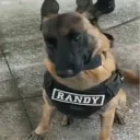 Randy