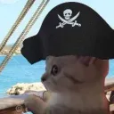 pirate kitty