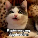 wat willste?