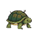 turtle walk