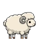 sheep