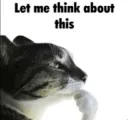 let me think about this