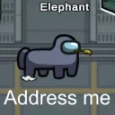 address the elephant
