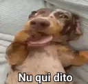 Nu qui dito